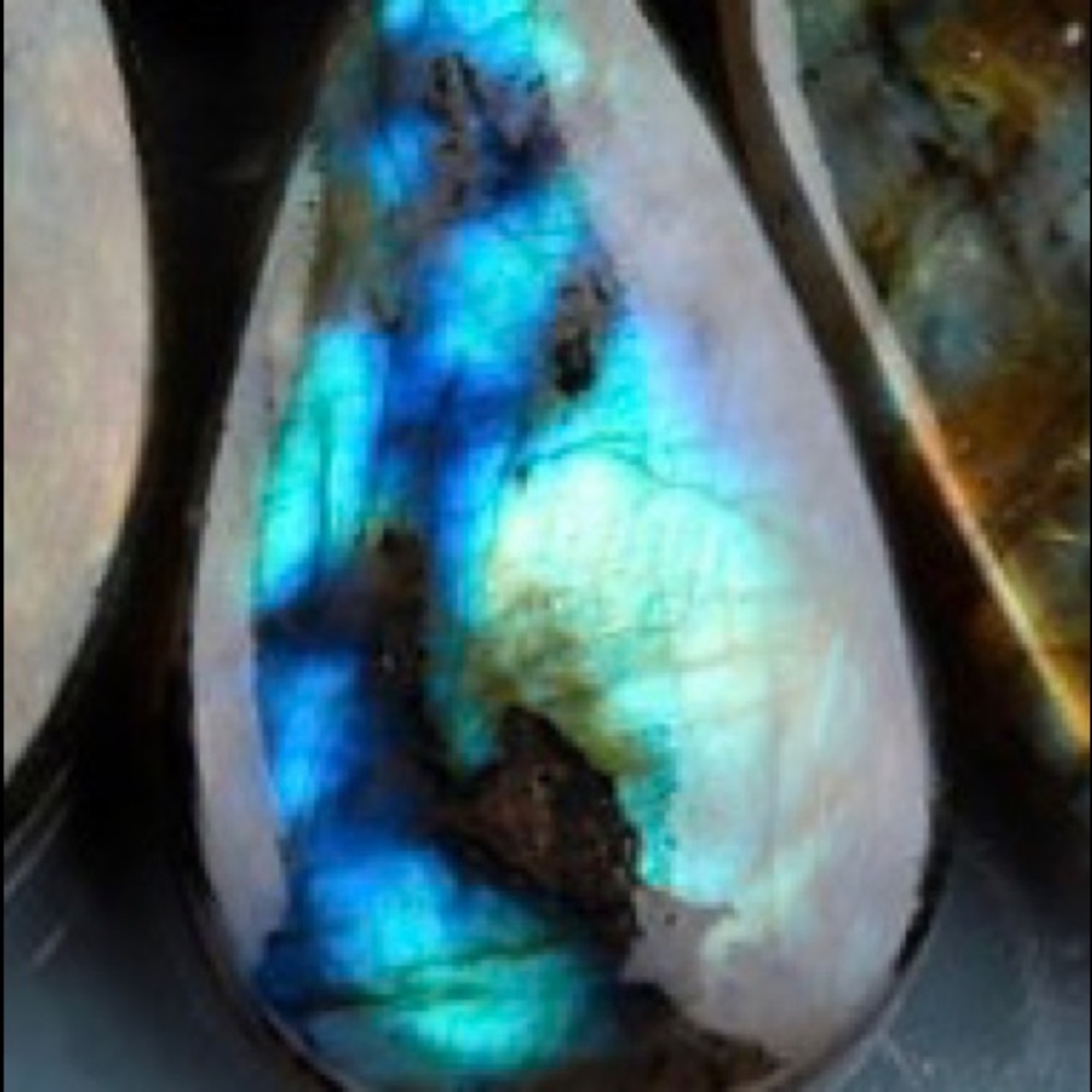 Meet your Posher, Saxon